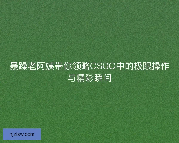 暴躁老阿姨带你领略CSGO中的极限操作与精彩瞬间