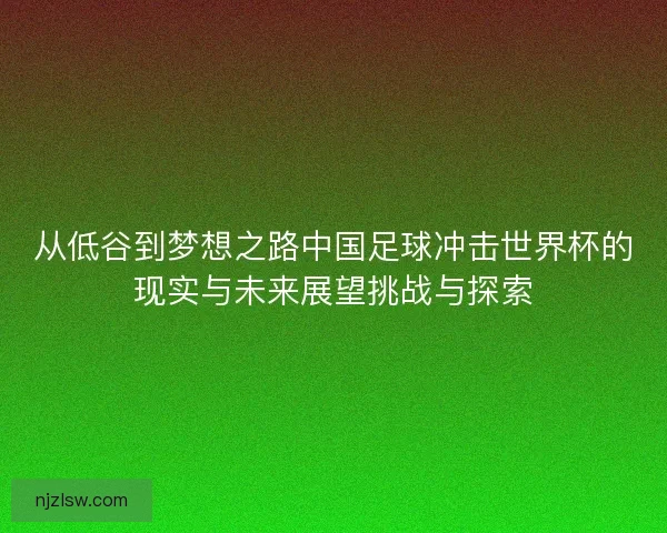 从低谷到梦想之路中国足球冲击世界杯的现实与未来展望挑战与探索