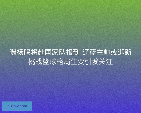 曝杨鸣将赴国家队报到 辽篮主帅或迎新挑战篮球格局生变引发关注